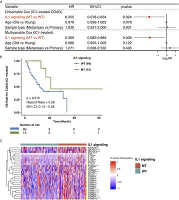 Analysis of Interleukin-1 Signaling Alterations of Colon Adenocarcinoma Identified Implications for Immunotherapy